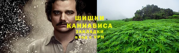 PSILOCYBIN Алексеевка