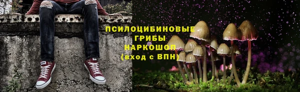 мяу мяу мука Алзамай